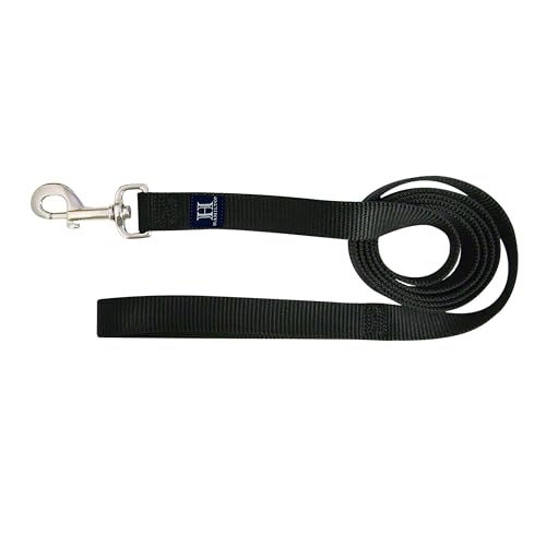 Hamilton 6 ft Nylon Dog Leash, Medium/Large 1" x 6', Black - color: Black, size: 1" x 6'