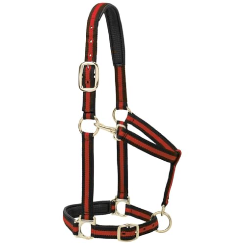 Weaver Leather Padded Adjustable Nylon Horse Halter, Blue, 1" Large Horse
