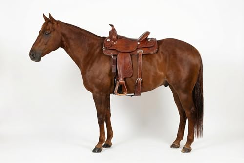 CHALLENGER Horse Saddle Western Riding Aluminum Stirrups Roper Angled Slanted Pair 51151v - color: Barrel Racer Bronze