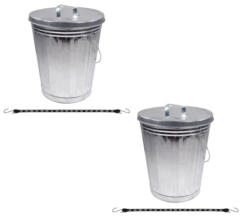 Mytee Products 2 Pack Galvanized Trash Can with Lid Ideal for Trailers - 10 Gallon Steel Mounted Small Outdoor Garbage Can for Home, Office, Bathroom, Kitchen - Fire and Heat Resistant - color: 2 - Pack, size: 10 Gallon