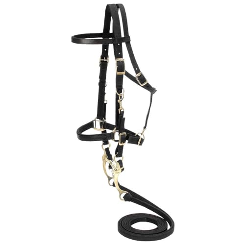 Australian Outrider Nylon Halter Bridle with Reins - color: Black