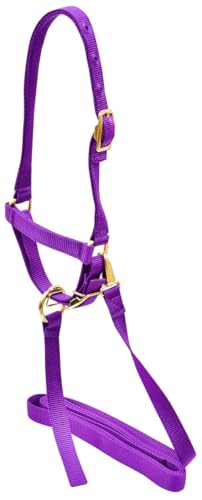 Jeffers Livestock Nylon Sheep Halter & Lead Set – Brass Plated ¾ Adjustable Halter with 6ft Rope for Sheep, Goats, Lambs – Farm, Ranch, Barn, Stable, Milking, Show, Training Gear - Purple - color: Purple