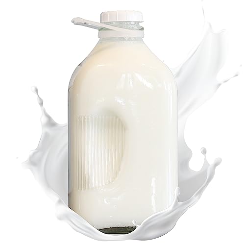 The Dairy Shoppe Heavy Glass Milk Bottle - Jug with Lid and Silicone Pour Spout - Clear Milk Container for Fridge - Reusable Glass Milk Jug Dispenser - Made in USA (64 oz, 1 Pack) - size: 64 Ounces