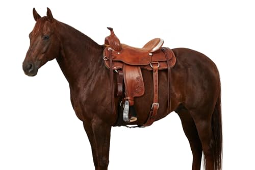 CHALLENGER Horse 5" Black Aluminum Engraved Slanted Offset Western Horse Saddle Stirrups 51220