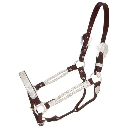 Royal King Silver Ferrules Show Halter