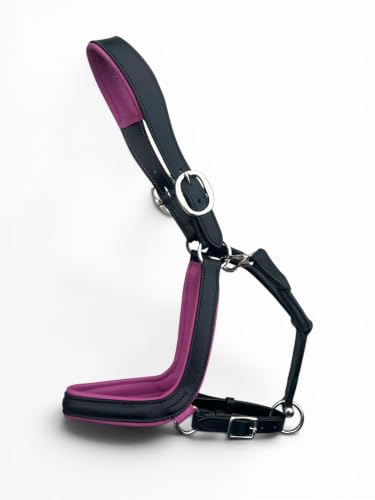 Leaders Padded Curved Leather Halter with Customized Engraved Name Plate Ergonomic Leather Halter for Horses - size: Horse Size Black/Pink