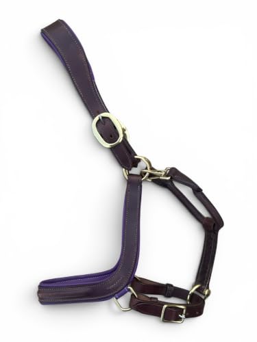 Leaders Padded Curved Leather Halter with Customized Engraved Name Plate Ergonomic Leather Halter for Horses - size: Horse Brown/Purple