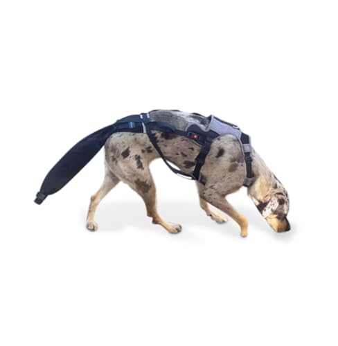 Large-Plus Happy Tail Protector for German Shepherd – Check Size Chart Image for FIT - size: L-PLUS