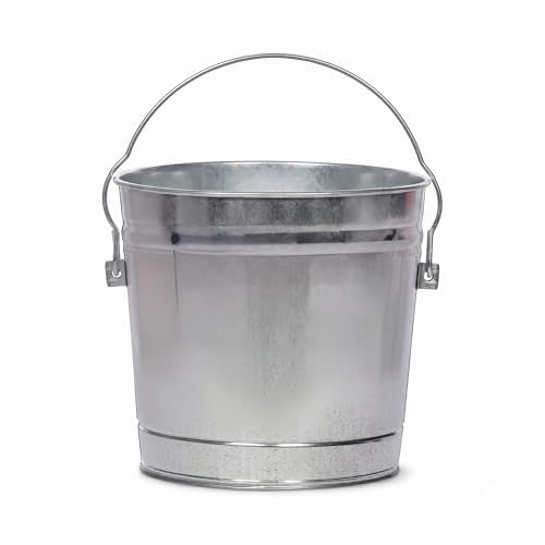 6 Gallon Galvanized Metal Pail for Bird Seed Pet Food Storage Can