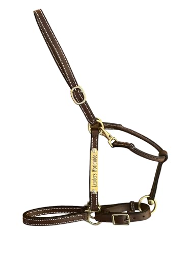 Leaders 3/4" Leather Halter for Horses with Customized Engraved Name Plate Brown Leather with Solid Brass Hardware - size: Small Pony