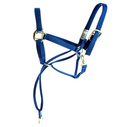 Basic Pull Back Training Halter - color: Blue