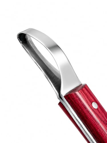 Farrier Loop Hoof Knife, Right-Hand, J2 420 Magnetic Stainless Steel Blade, Ergonomic Red Handle, Horse Hoof Trimming Tool for Sole & Frog Paring