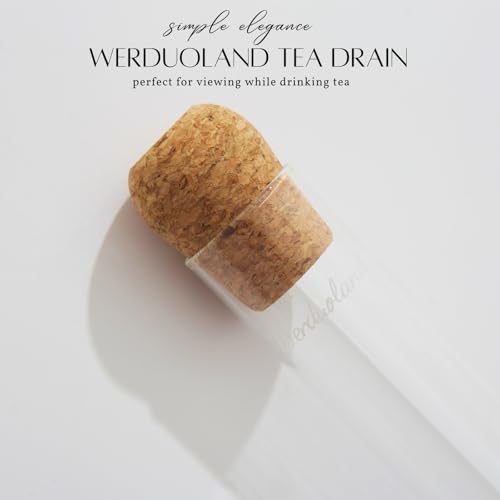 2 PCS Glass Loose Tea Infuser with Cork Lid Spoon Brush