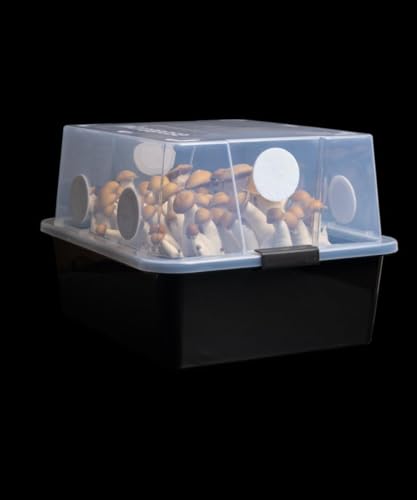 Myco Labs Grower's Select 66Q Large Mushroom Monotub Fruiting Chamber with Filter Disks and Liner - size: 66 Quart