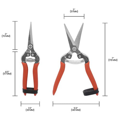 Harvest-Bunch Cutter, Curved Stainless Steel Serrated Blade