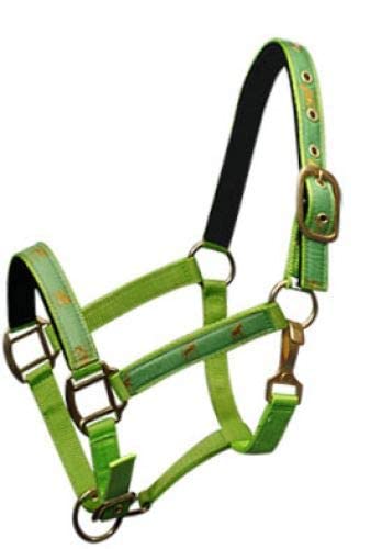 Adjustable Cob Size Neoprene Lined Nylon Halter w/Running Horse Overlay - color: Lime