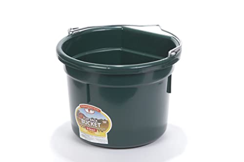 Little Giant® Flat Back Plastic Animal Feed Bucket | Animal Feed Bucket with Metal Handle | Horse Stall Feeding and Watering Supplies (Green, 8 Quart) - color: Green, size: 8 Quart