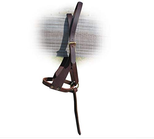 Tack Shack of Ocala Leather Figure 8 Foal Halter | Newborn, Foal, Mini Pony Halter | Brown with Removable Grab Strap and Two Size Crowns