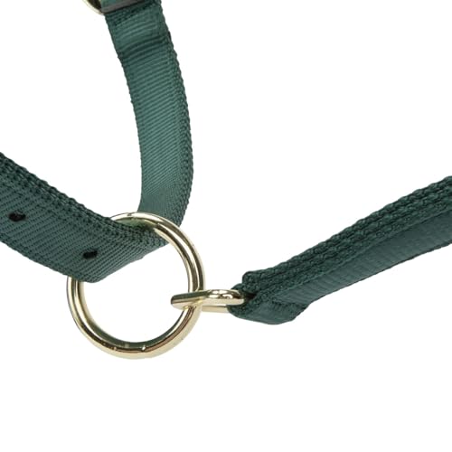 Shires ARMA Adjustable Nylon Halter - color: Hunter, size: Pony