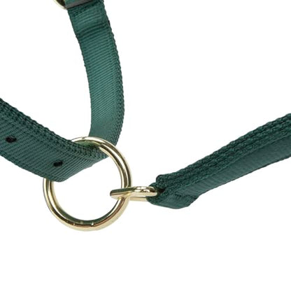 Shires ARMA Adjustable Nylon Halter - color: Hunter, size: Pony