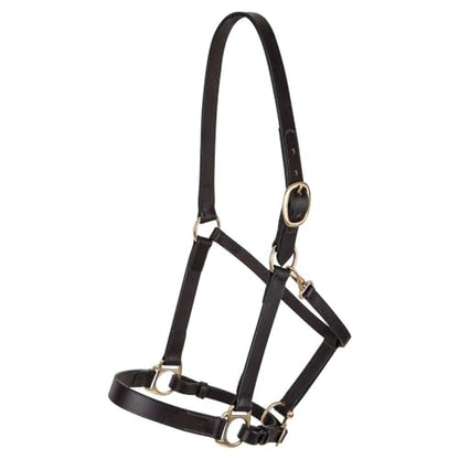 Dura-Tech Premier Lancaster Leather Halter for Horses | Simple Economy Leather Halter with Adjustable Fit & Solid Brass Hardware - size: Full Size