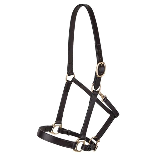 Dura-Tech Premier Lancaster Leather Halter for Horses | Simple Economy Leather Halter with Adjustable Fit & Solid Brass Hardware - size: Cob