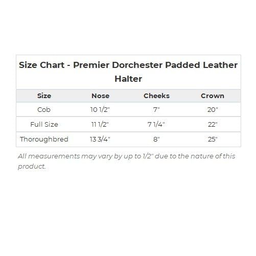 Schneiders Premier Dorchester Padded Leather Halter for Horses | Fancy Stitch Detailing | Soft Buffalo Leather | Padded for Comfort - size: Thoroughbred