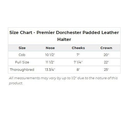 Schneiders Premier Dorchester Padded Leather Halter for Horses | Fancy Stitch Detailing | Soft Buffalo Leather | Padded for Comfort - size: Thoroughbred