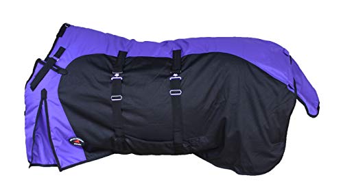 Challenger 1200D Horse Turnout Waterproof Heavy Weight Winter Blanket 5EE20PR - color: Purple/Black, size: 68 inches