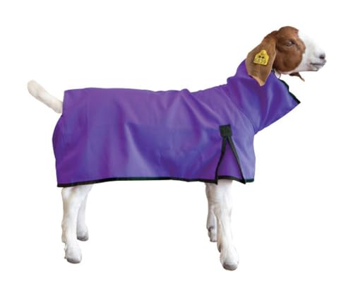 Weaver Leather Goat Blanket Purple XL Purple XL