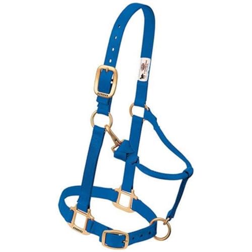 Weaver Leather Original Adjustable Nylon Horse Halter, Weanling/Pony, Blue