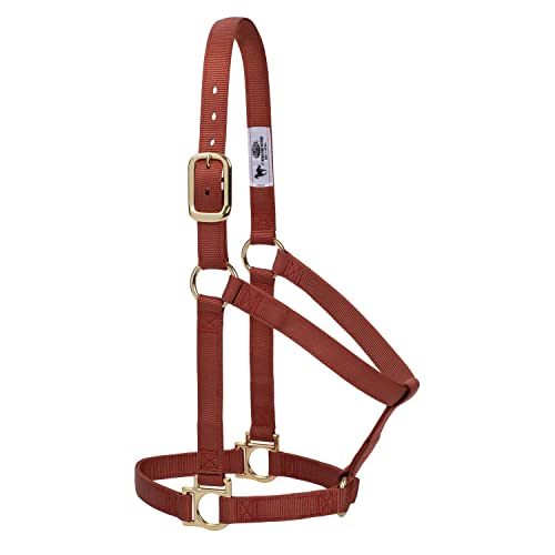 Weaver Equine Basic Non-Adjustable Halter - color: Cinnamon, size: 1" Average Horse
