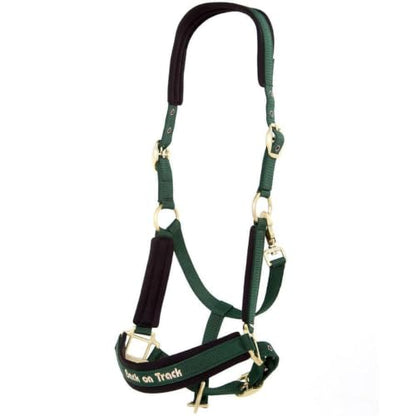 BACK ON TRACK Werano Cob Halter - color: Green, size: Cob