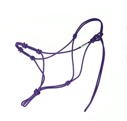 Four Knot Rope Halter and 12 Foot Lead Rope Training Set (Purple, Small) - size: Small