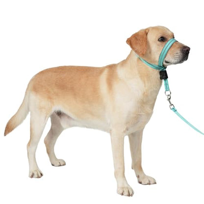 BARKLESS Dog Head Collar, Reflective Head Halter for Small Medium Dogs - size: S (Snout 7-9 '')
