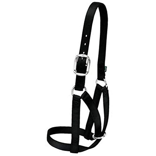 Weaver Livestock Barn Cow Buckle Cattle Halter, Adjustable, Modern Style Cow Calf Halter, Livestock Handling Equipment for Showing, Black - color: Black