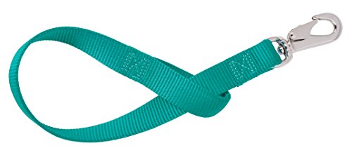 Weaver Leather Nylon Bucket Strap, Emerald Green, 1" x 22"