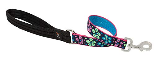 LupinePet Originals 1" Flower Power 2-Foot Traffic Lead/Leash for Medium and Larger Dogs - size: 1" wide; 2-ft long