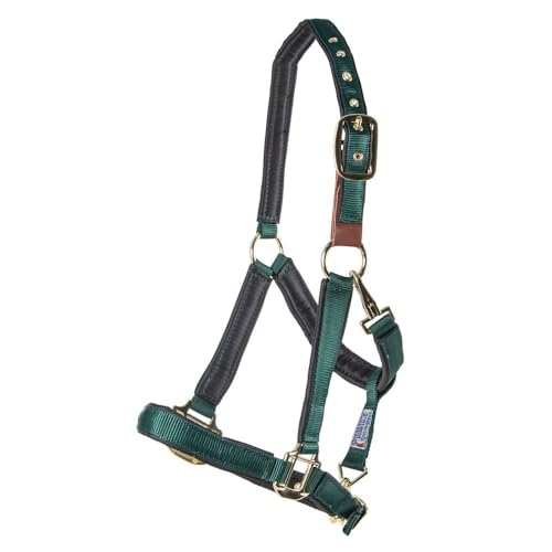 Dura-Tech Deluxe Fully Padded Breakaway Horse Halter | 1” Double Ply Nylon Web Overlay | Heavy-Duty Hardware | Semi Custom Fit | 3-Point Cheek Attachment - color: Navy, size: Full Size