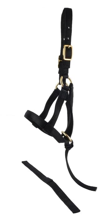 Jeffers Equine Nylon Weanling Halter for Miniature Horses – Adjustable 2 Ply 3/4" Webbing with Brass Plated Hardware, Double Crown Design, Lightweight for Training, Grooming, & Farm Use - Black - color: Black