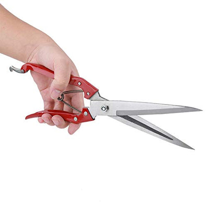 Generic Manual Stainless Steel Sheep Shears, with Spring Loaded Detachable Blade, for Livestock Trimming Shearing Sheep Rabbits Horses Pets