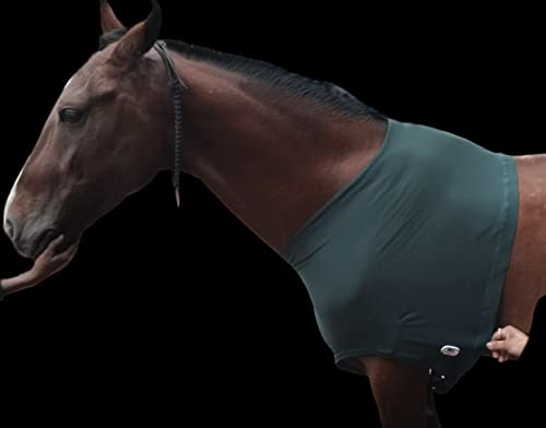 Majestic Ally Premium 4-Way Stretch Spandex/Elastane Horse Shoulder Guard for and Protection, Large, Hunter Green - color: Hunter Green