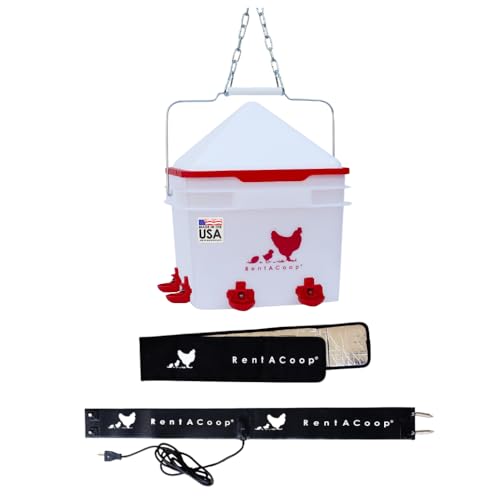RentACoop LG Thermo Bucket Belt and 2 Gal Corner Bucket Waterer