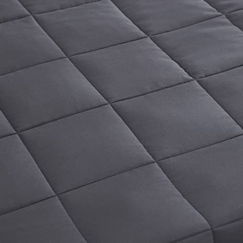 L'AGRATY Weighted Blanket - 36"x48" 5lbs Microfiber Material with Glass Beads Small Blanket for All-Season Summer Fall Winter Soft Thick - color: 01-dark Grey, size: 36" x 48" | 5lbs