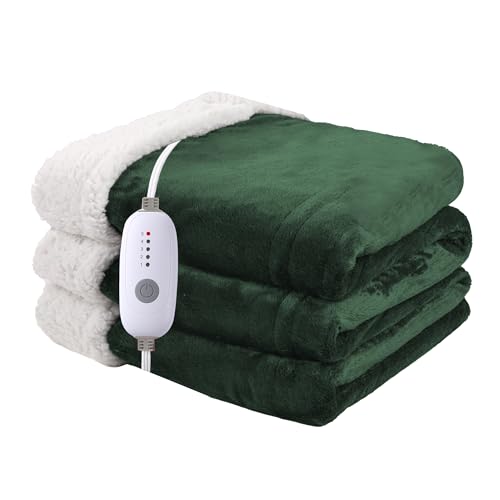 Heated Blanket Electric Blanket Queen Size 84''x90'' with 5 Heating Levels, 10 Hour Auto Shut Off, Machine Washable, Dual Controller Soft Warming Blanket for Couch, Bed, Office - Grass Green - color: 04-grass Green, size: 84''x90''(Queen)