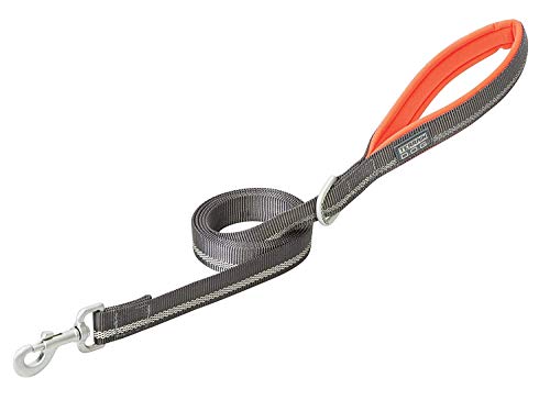 Terrain D.O.G. Reflective Neoprene Lined Dog Leash, Dark Gray/Orange, 6-feet L x 1-inch W