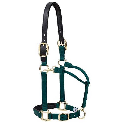 Weaver Equine Breakaway Horse Halter, Supple Leather Crown, Adjustable Brass Throat Snap Halters for Horses, Equine Tack - color: Hunter Green