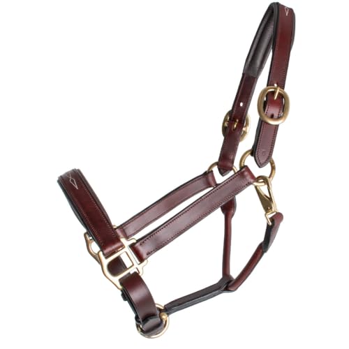 Country Pride Premium Padded Leather Halter, Quality Leather, Padded Noseband and Crown, Fancy Stitching, Solid Brass Hardware, Adjustable Chin, Double Crown, Comfortable Halter, Barn or Show Use - size: Large Horse