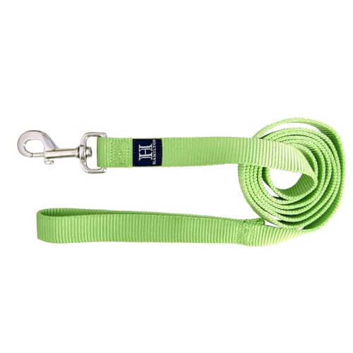 Hamilton 4 ft Nylon Dog Leash, Medium/Large 1" x 4', Lime Green - color: Lime Green, size: 1" x 4'