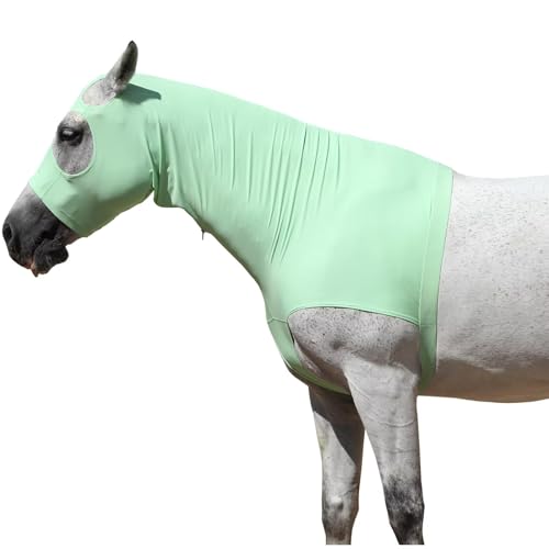 LEAFOREST Horse Slinky Hood with Zipper Stretch Neck Cover Sleazy Hoodies - color: Pale Green